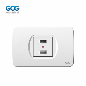GOG PC 壁スイッチソケット USBソケット D-020 PC