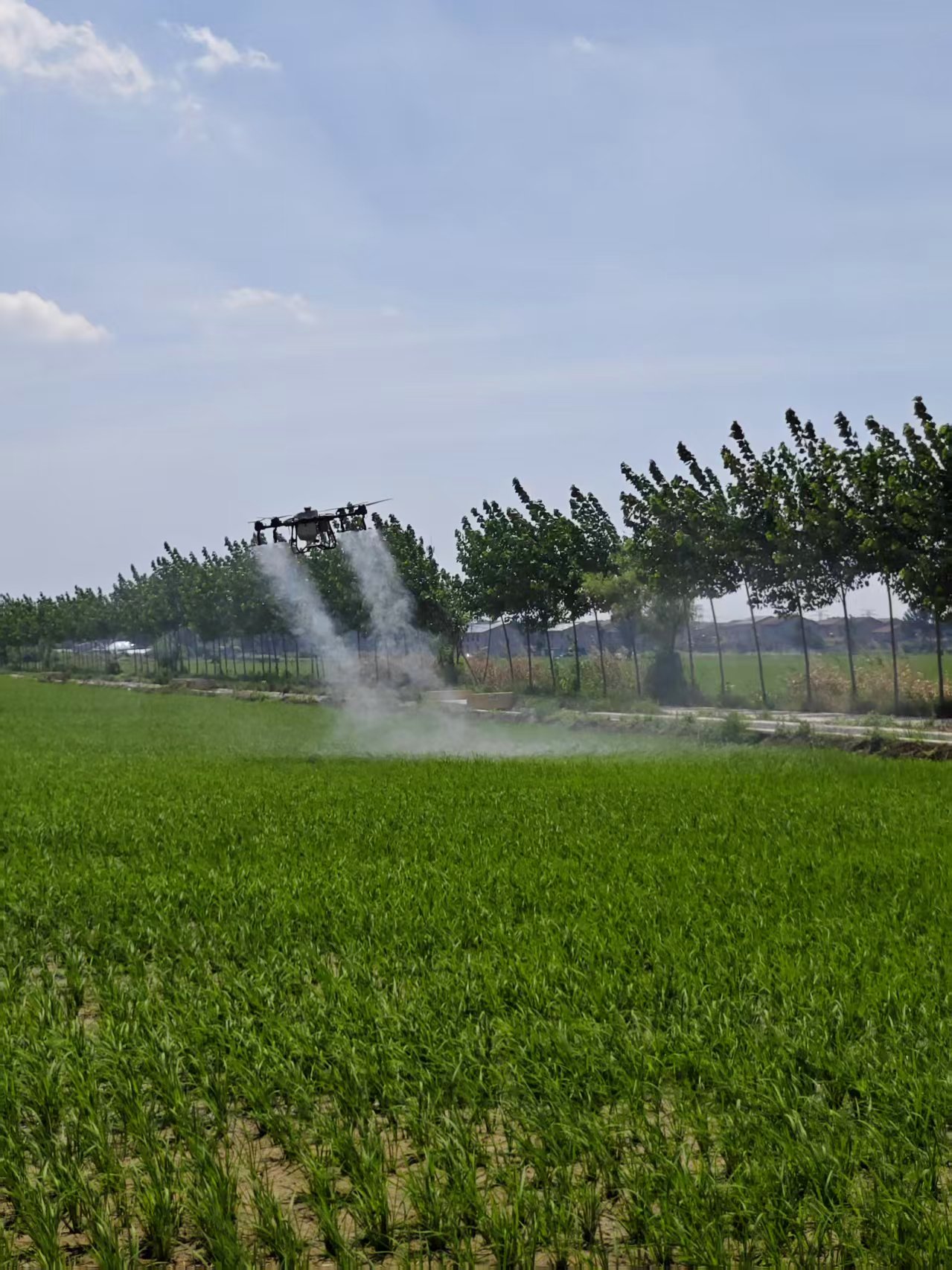 Choosing the Optimal Agricultural Drone for Crop Spraying: A Comprehensive Guide