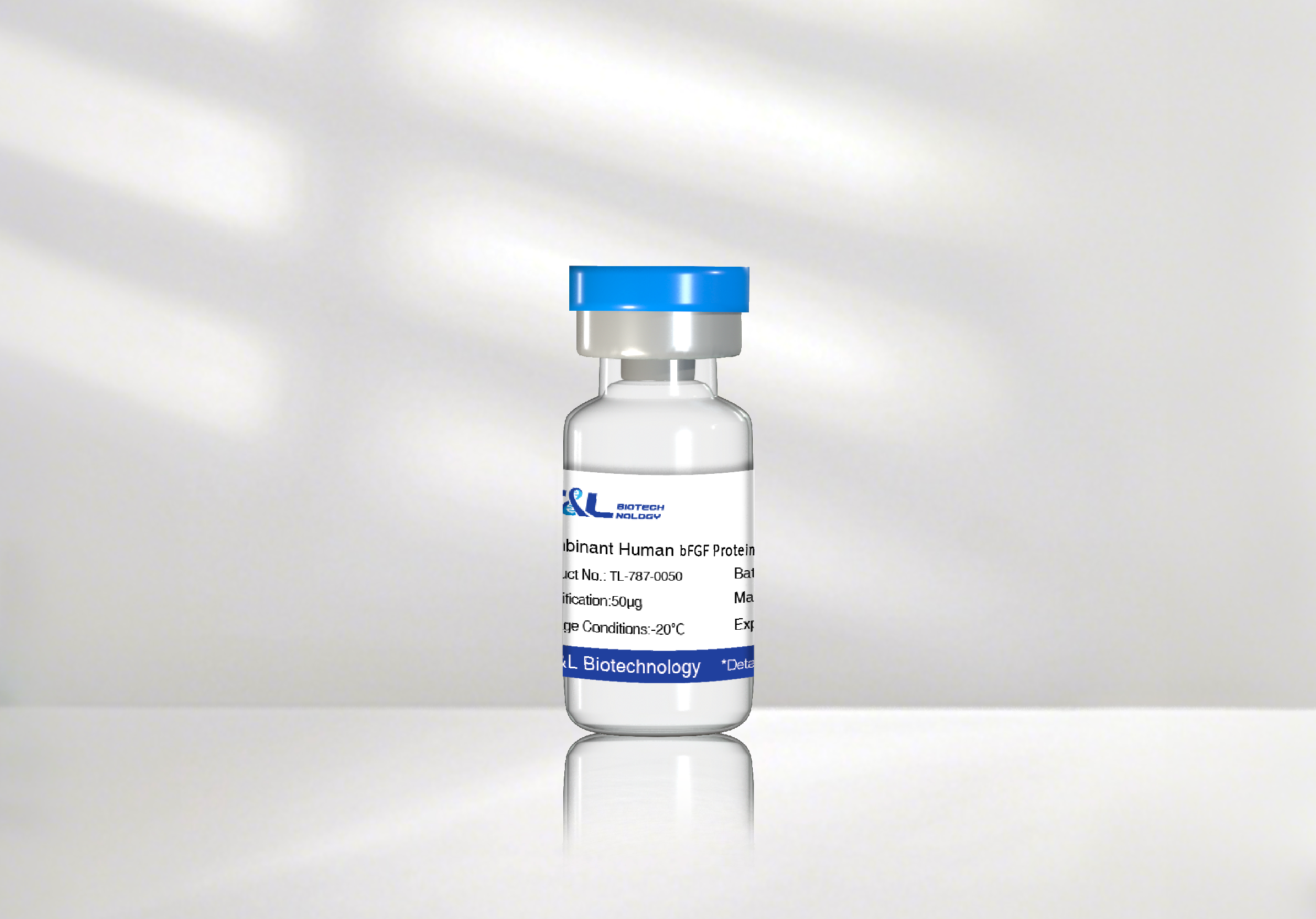 The Repair Champion in High-Temperature Environments! T&L Biotechnology Officially Launches New-Generation Thermostable bFGF Protein