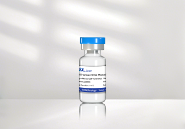 GMP-TL502 Anti-Human CD52 mAb T cell activation and expansion