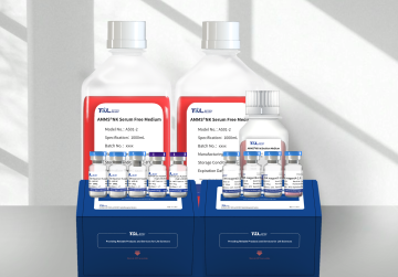AMMS®NK Cell Culture Kit 3.0