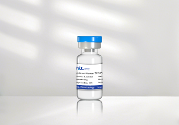 Recombinant Human TPO Protein