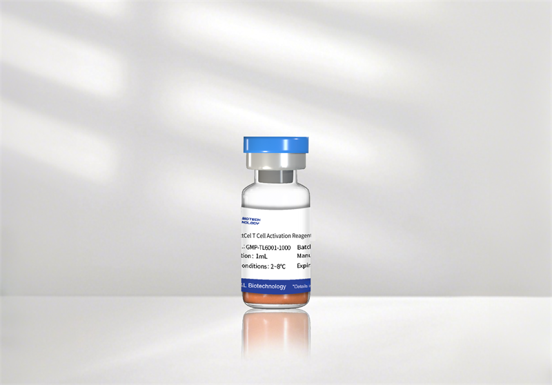ActCel T Cell Activation Reagent