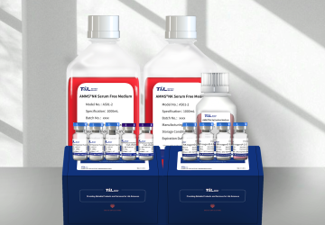AMMS® High Purity NK Cell Culture Kit 3.0