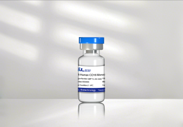 Anti-Human CD16 monoclonal antibody