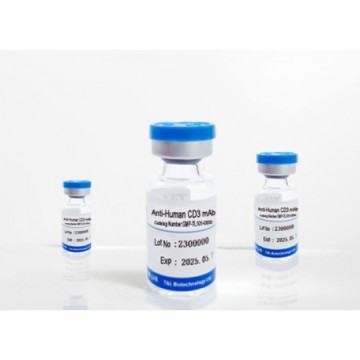 GMP-TL101 Anti-Human CD3 mAb Antigen recognition, signal transduction and T cell activation