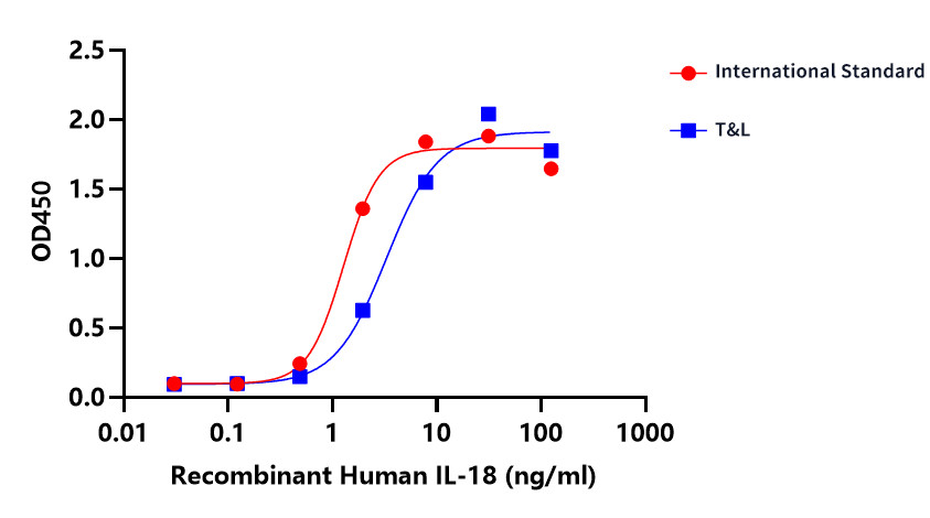 NK cells (11).jpg