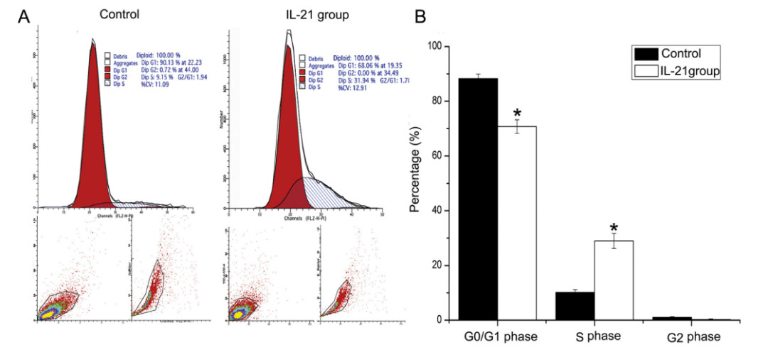 NK cells (2).jpg