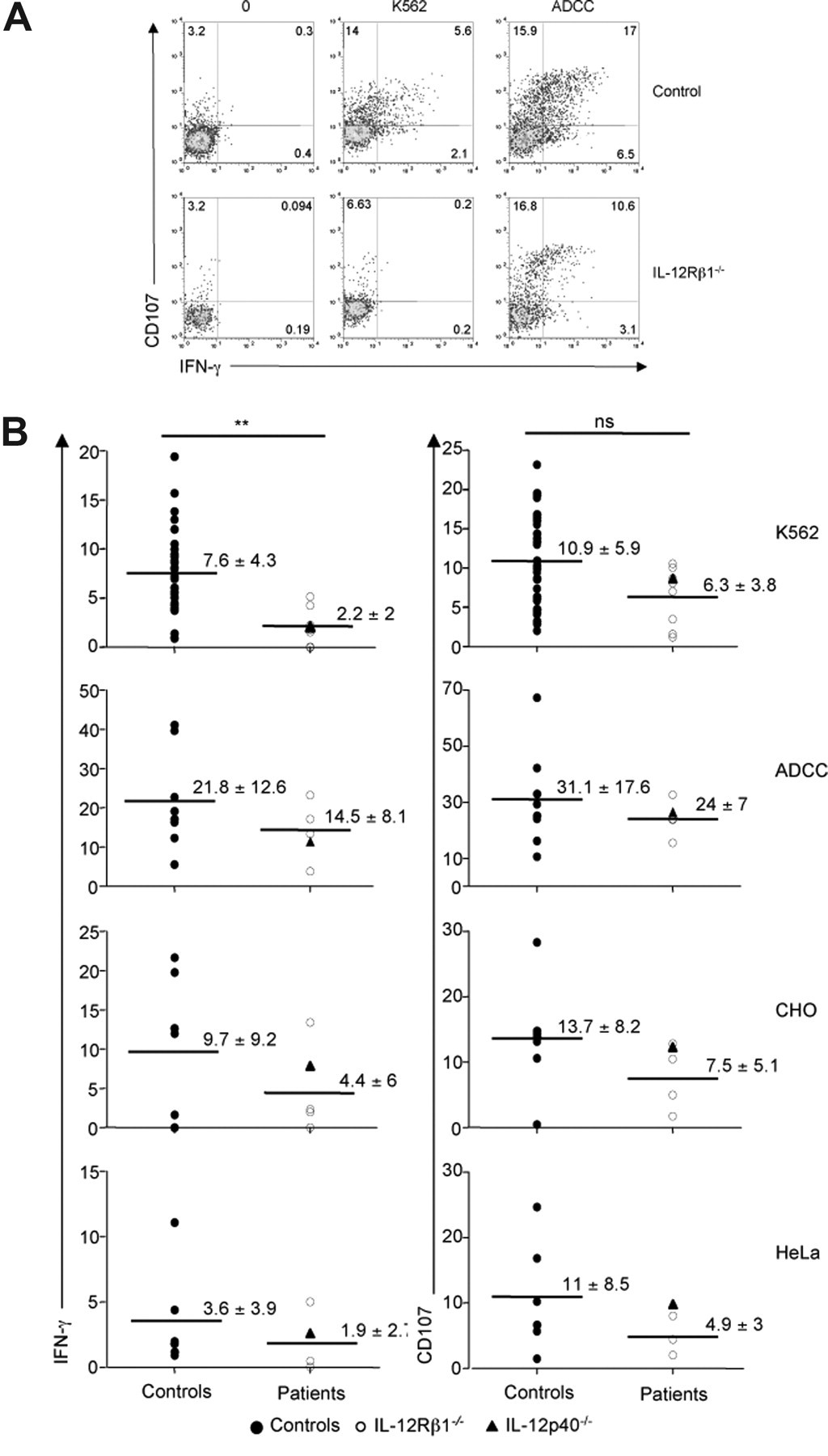 NK cells (4).jpg