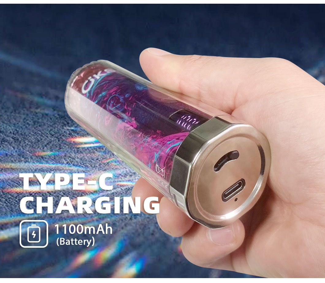 chargeable lighter electronic cigarette