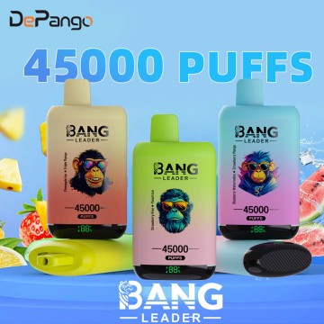 Bang Leader 45K Puffs 2-in-1 Flavors Disposable Rechargeable Vape