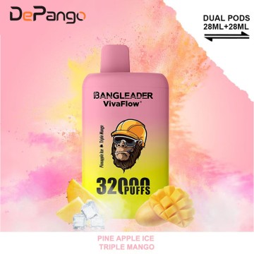 Bang Leader 32000 Puffs Dual Pods Dual Flavors Disposable Vape