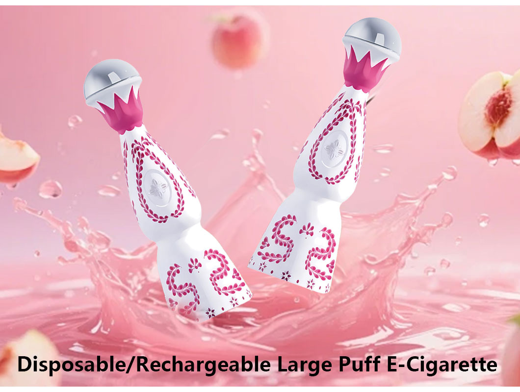5vape desechable recargable