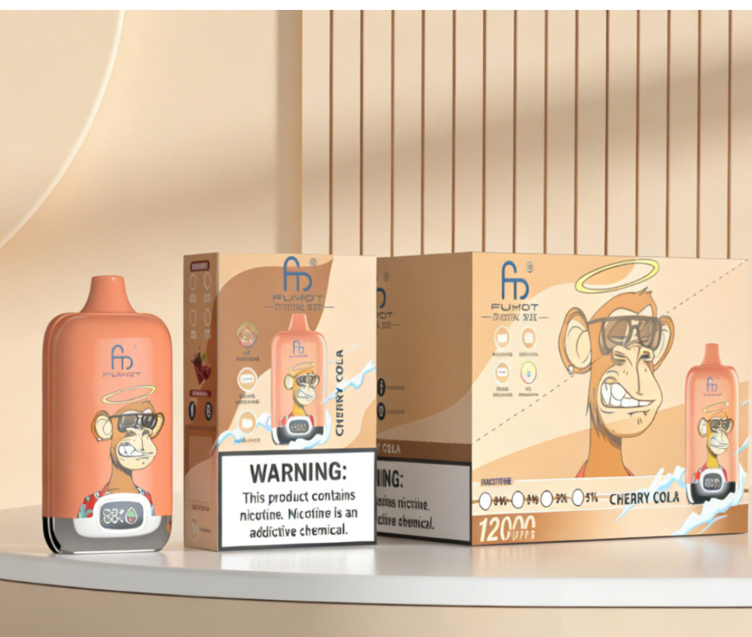 충전식 전자담배, 일회용 빈 케이스