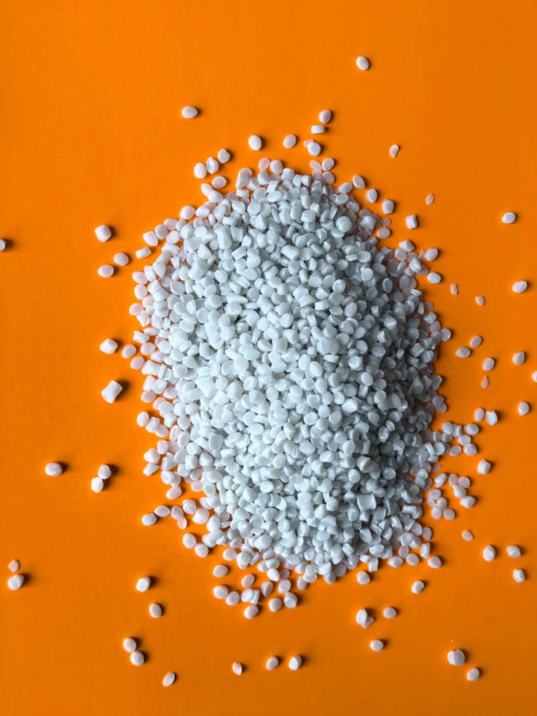 Probiotics reconfigure the nappy industry: from antibacterial revolution to a new era of environmental degradation