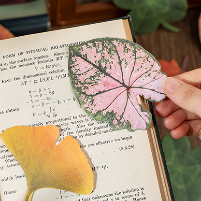 colorful adhesive notes