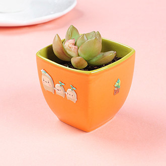 Free Sample Custom Printing Cute Sticker Sheet For Decorative