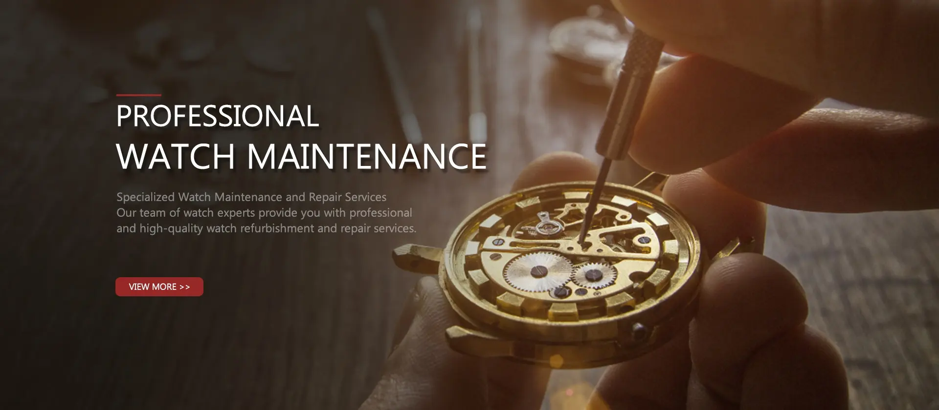 PROFESSIONAL WATCH MAINTENANCE