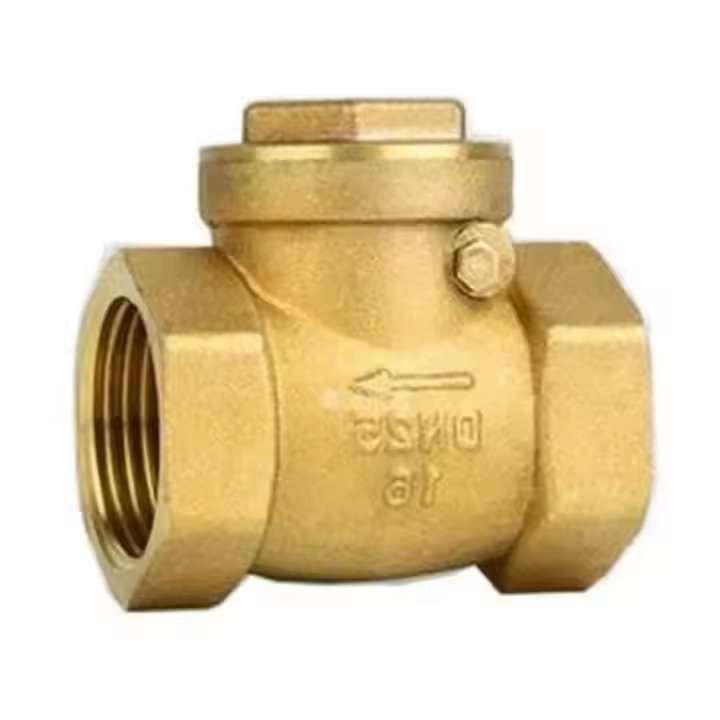 PVC Cover Angle Ball Angle Valve Brass Swing Check Valve