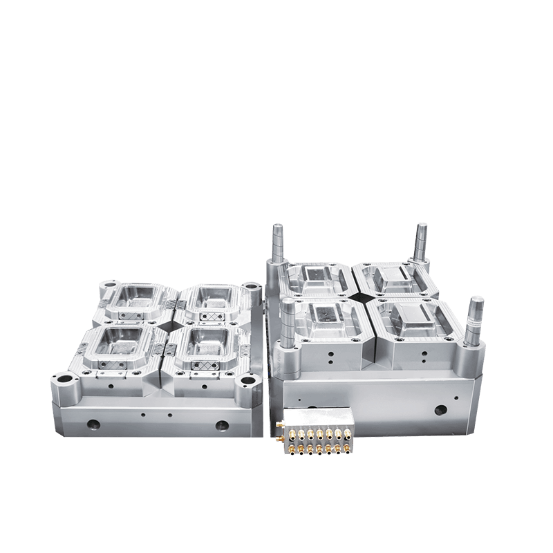 4 Cavities Thin Wall Mould with Stainless Material