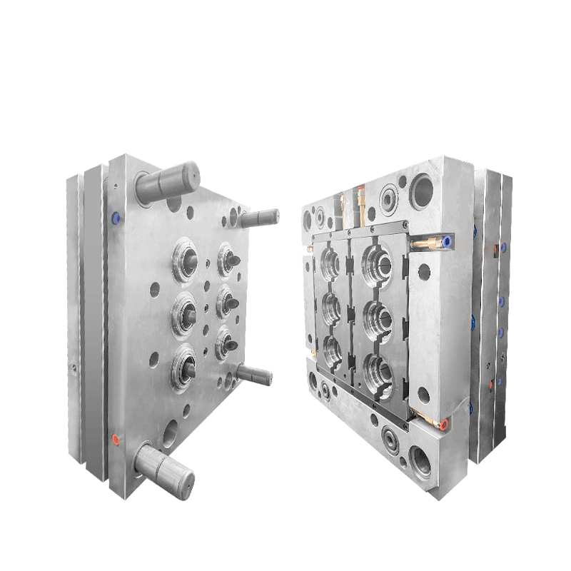 6 Cavities Laundry Lid Mould with hot runner