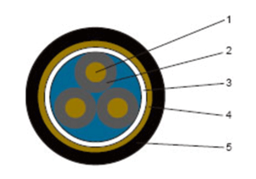 新丽琳1.png
