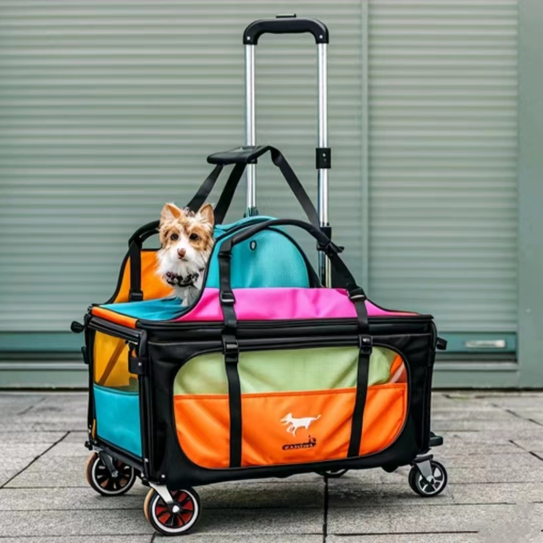 Customer Story: The Convenience of Pet Strollers in Daily Life
