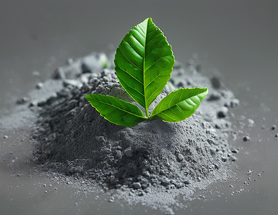 The role of nano-zero-valent iron in environmental remediation