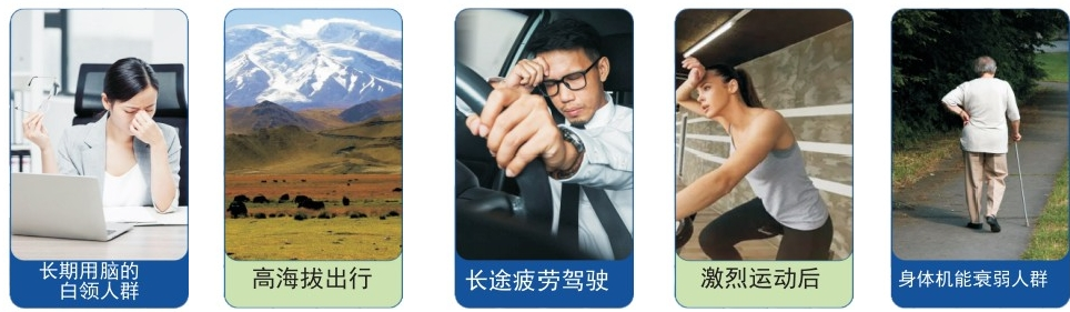 图片11