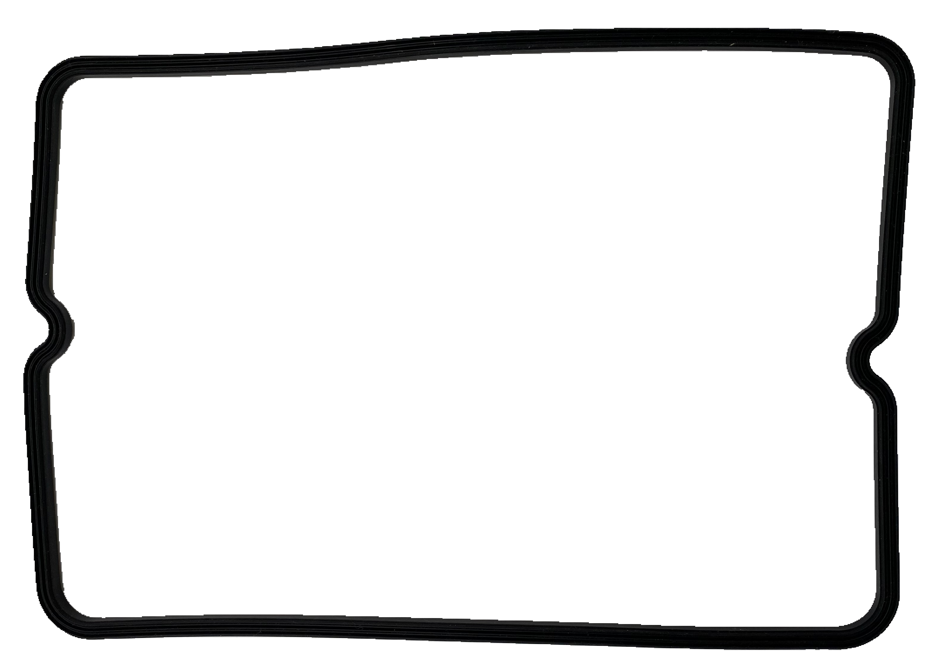 IMG_0962-1.png