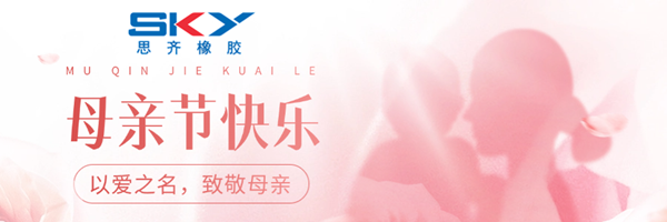 母亲节祝福闪耀风公众号首图2_副本.png