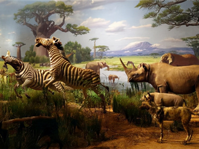 animatronic-animal-in-Museumsjr4