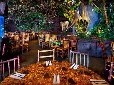 animatronic-animal-in-Restaurant7dg