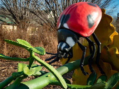 animatronic-ladybird-in-the-theme-parkn7q