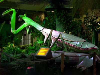 animatronic-mantis-is-in-the-exhibit-roomw7j