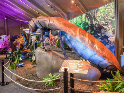 Giant-bugs-are-on-displaykya