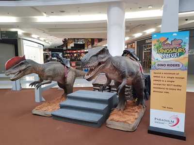 Shopping-Malls7sm
