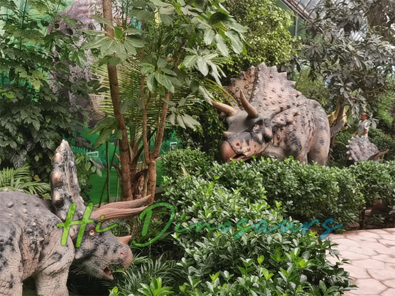 Triceratops family02