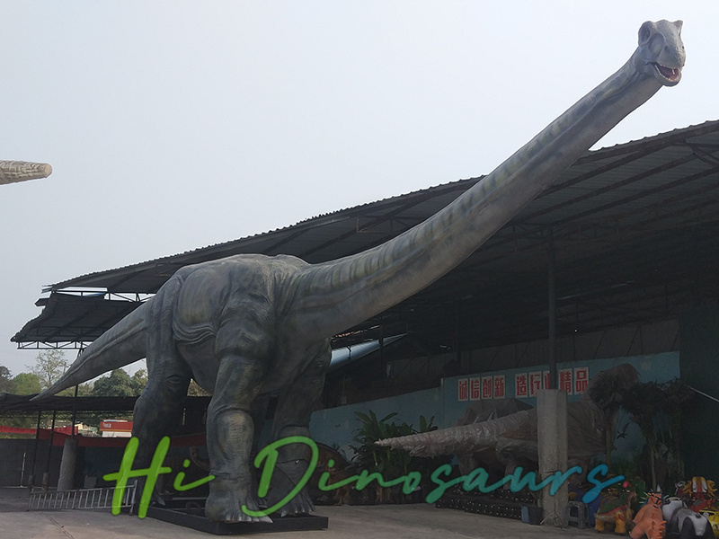 Apatosaurus