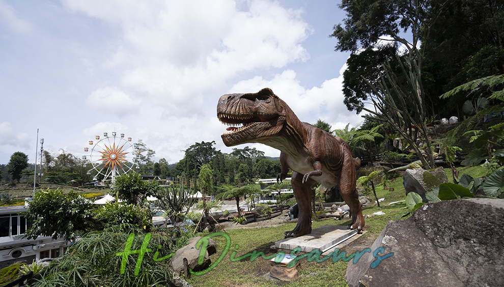 Dino Ranch01