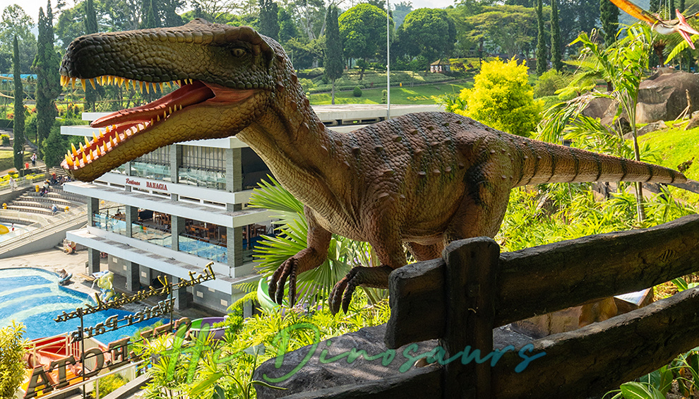 Dino Ranch05