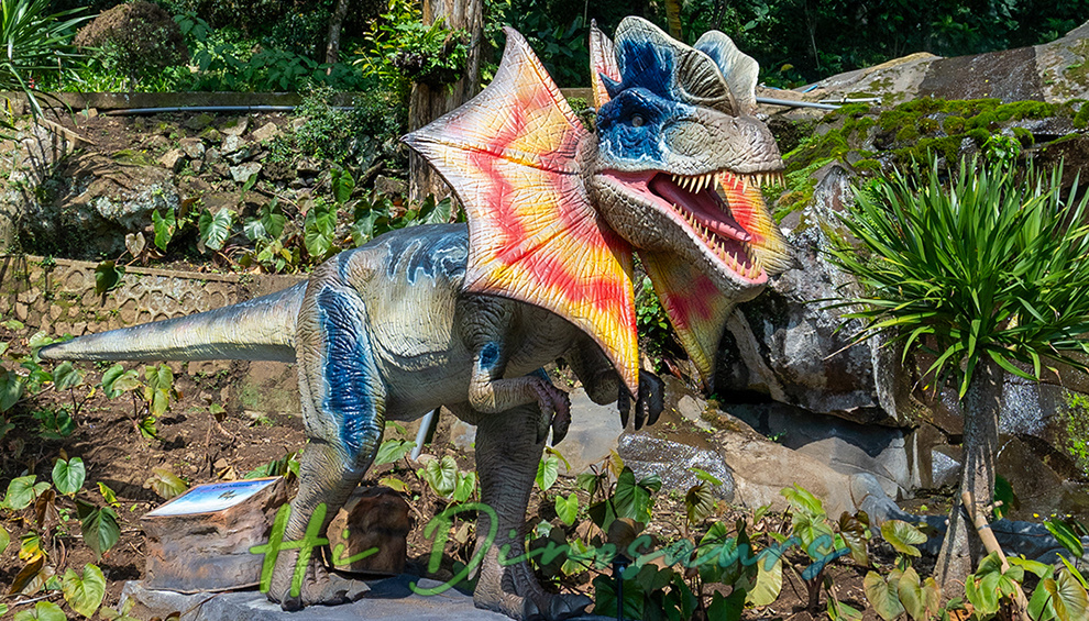 Dino Ranch06