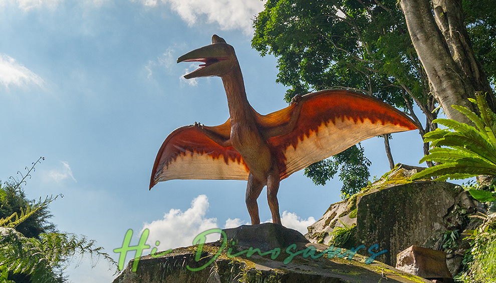Dino Ranch07