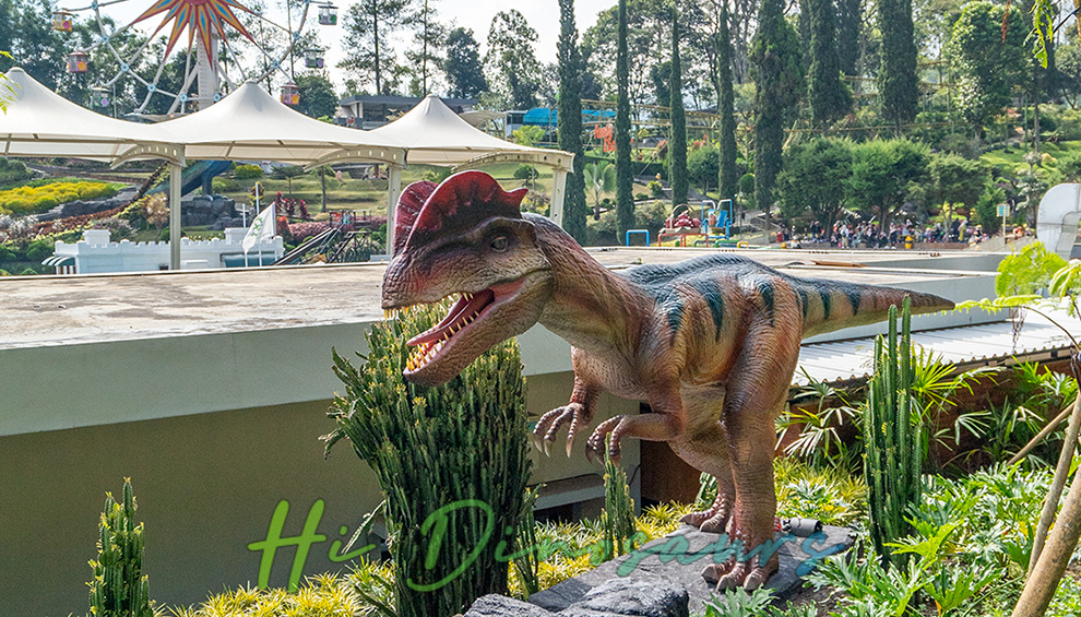 Dino Ranch10