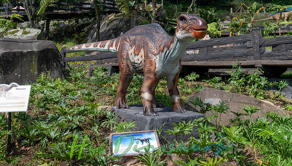 Dino Ranch11