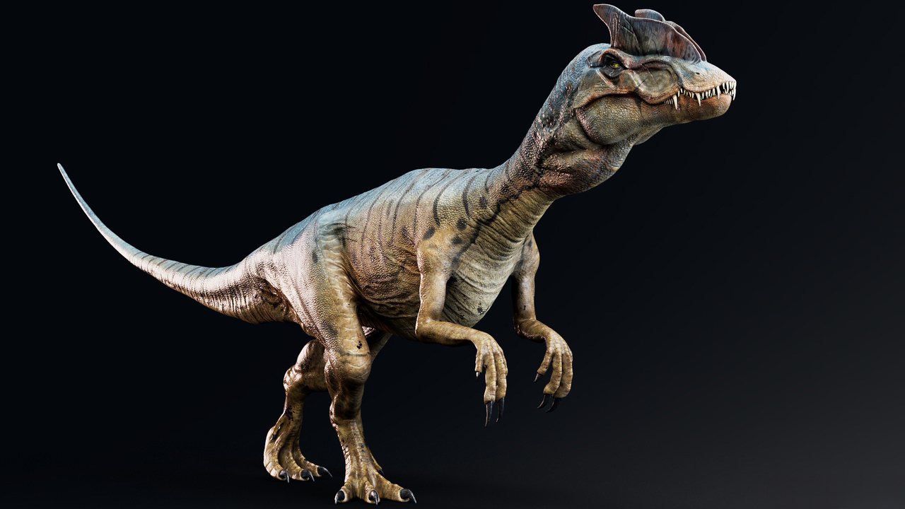 Dilophosaurus