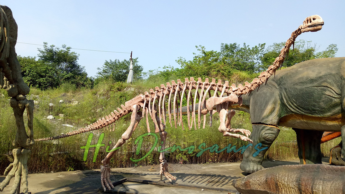 Esqueleto de Lufengosaurus por Hidinosaurs