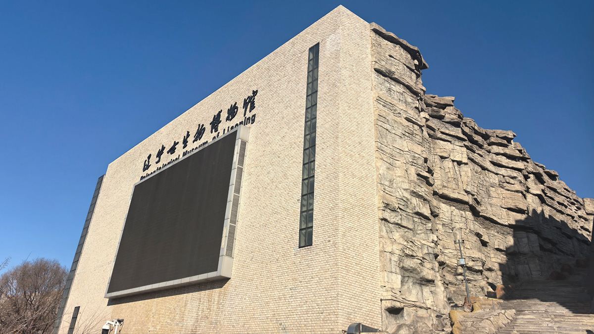 Museu de Paleontologia de Liaoning