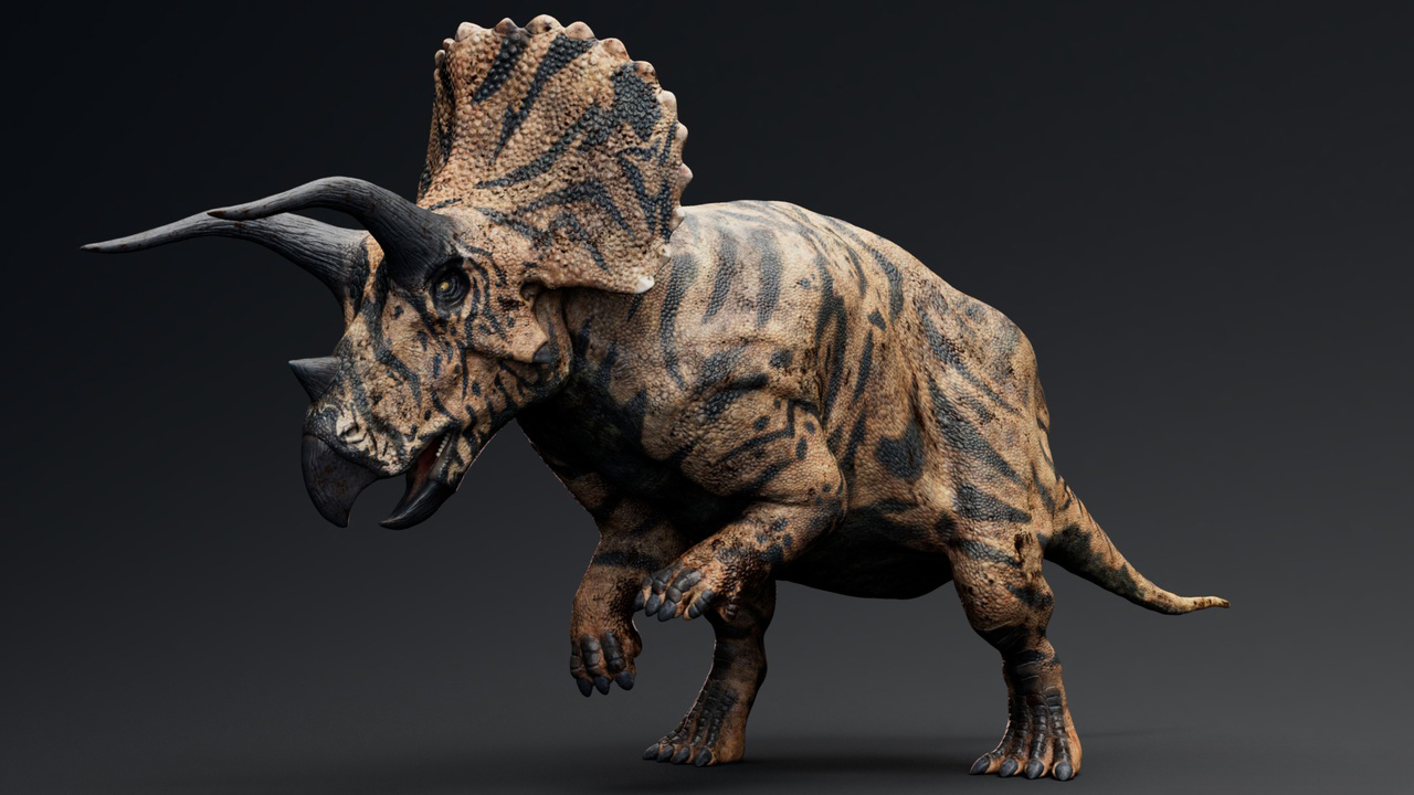 Triceratops