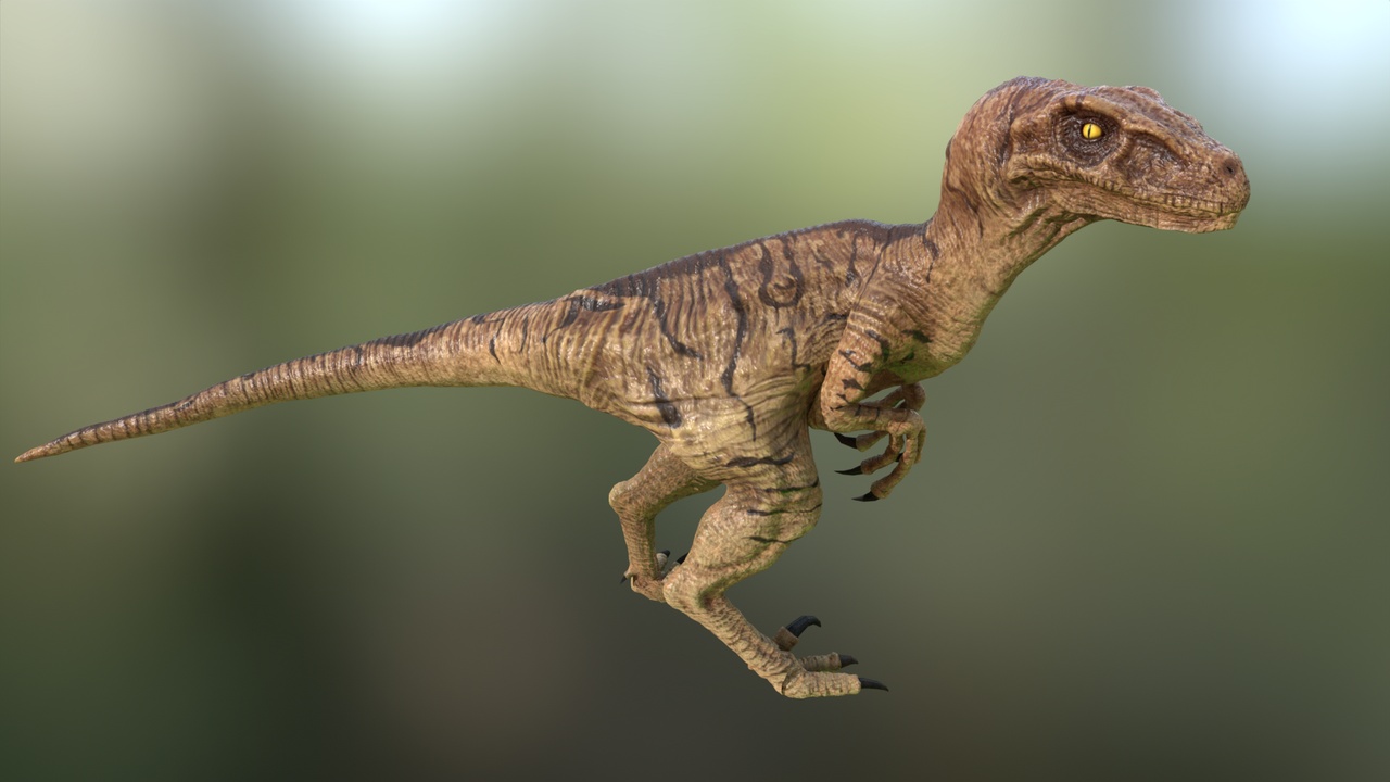 Velociraptor